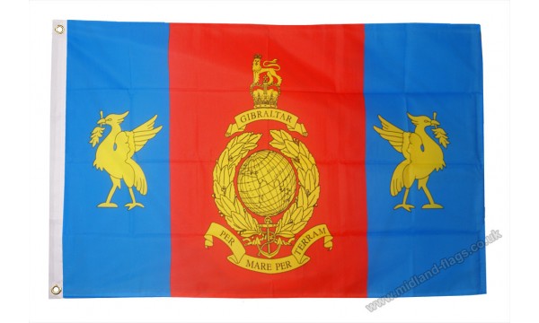 Royal Marines Reserve Merseyside Flag